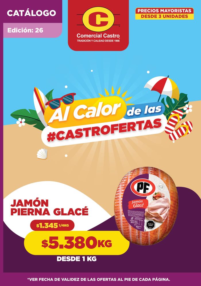 Catálogo Comercial Castro | Al carol de las #castrofertas . | 13-02-2024 - 29-02-2024