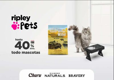 Catálogo Ripley en Calle Larga | Hasta 40% dcto todo mascotas ripley pets ! | 10-05-2024 - 17-05-2024