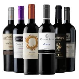 Oferta de 6 Vinos Mix Plus Reserva Carmenere por $29600 en Falabella