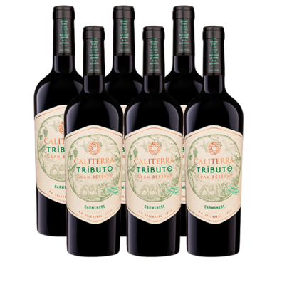 Oferta de Vino Caliterra Tributo Gran Reserva Carmenere Botella 750cc x6 por $5593 en Liquidos