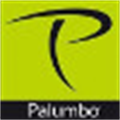 Logo Palumbo