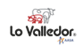 Logo Comercial Valledor